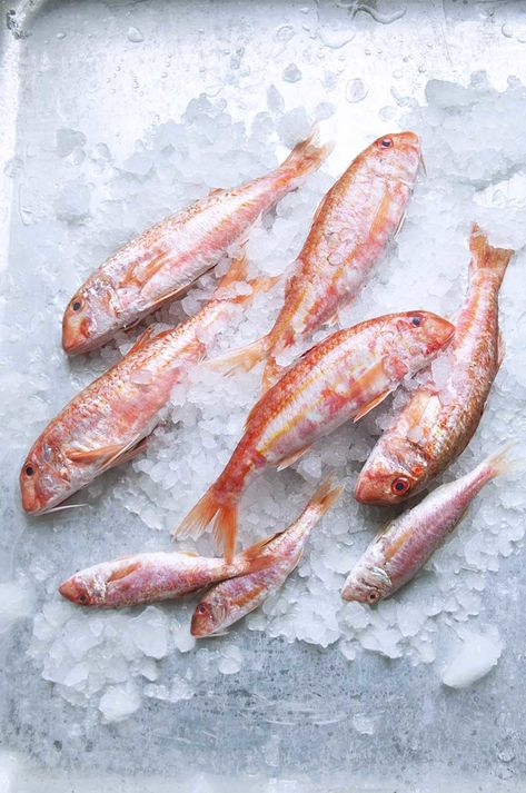 Red Mullet Fish, Mullet Recipe, Fish Alphabet, Mullet Fish, Fish School, Red Mullet, Mediterranean Fish Recipe, Travel Magazine, Baked Fish