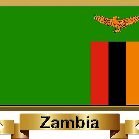 Happy Independence Day Zambia, Namibia Independence Day, Zambia Flag, Central African Republic Flag, Old South African Flag, Anime Photo Profile Dark, Eagle In Flight, African Countries, Tapestry Throw