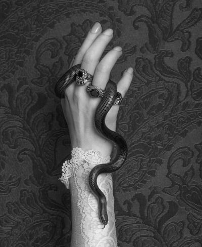 Little snake on a feminine hand, monochrome. Not mine :) Rabastan Lestrange, Walburga Black, Pretty Snakes, Slytherin Aesthetic, Albus Dumbledore, Gothic Aesthetic, Witch Aesthetic, Fantasy Aesthetic, A Snake