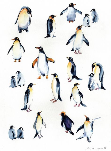 Penguins Art of Original Watercolor Painting Penguin Painting Watercolor Sketch Animal Painting Watercolor Art 11 X 14 by Bogdan Shiptenko - Etsy Ukraine