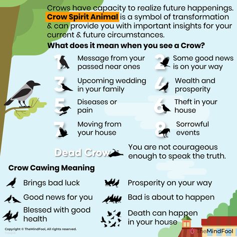 Crows are said to be wise creatures with foresight. They are said to have the capacity to realize future happenings. Crow spirit animal is a symbol of transformation. Crows can provide you important insights for your current and future circumstances. They are also said to be a symbol of change that is required. #CrowSymbolism #mindfulness #selflove #believe #awakening #faith #soul #motivation #consciousness #inspiration Food For A Crow, Crow Tattoo Meaning, Crow Symbolism, Crow Meaning, Crow Core, Crow Spirit Animal, Spirit Animal Meaning, Animal Meanings, Witch Crafts