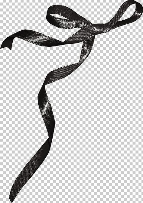 Bows And Ribbons, Black And White Design Graphic, Ribbon Png Aesthetic, Transparent Aesthetic Png, Black Ribbon Aesthetic, White Ribbon Png, Black Ribbon Png, Objects White Background, Collage Art Png