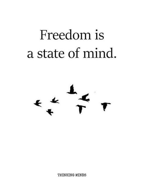 Freedom Captions, Freedom Is A State Of Mind, Healthy Relationship Tips, Freedom Is, Mind Quotes, Healthy Relationship, Deep Quotes, Mindfulness Quotes, State Of Mind