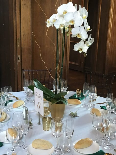 Potted Orchid Centerpiece, Orchid Wedding Centerpieces, Orchid Ideas, Orchid Centerpieces Wedding, Non Floral Centerpieces, Plant Centerpieces, Succulent Centerpiece, Orchid Centerpieces, Succulent Centerpieces