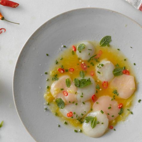 Crudo Recipe, Best Scallop Recipe, Scallop Crudo, Easy Scallop Recipes, Epicurious Recipes, Fresh Scallops, How To Cook Scallops, Grilled Scallops, Dried Scallops