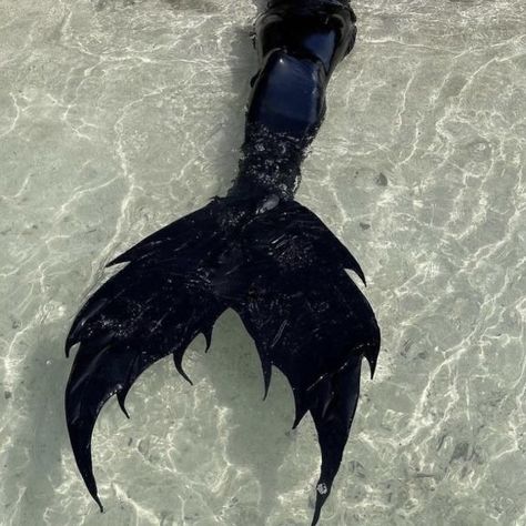 Ocean Alien, Mermaid Tail Aesthetic, Black Mermaid Tail, Scary Mermaid, Siren Tail, Realistic Mermaid, Black Siren, Dark Mermaid, Mermaid Photography