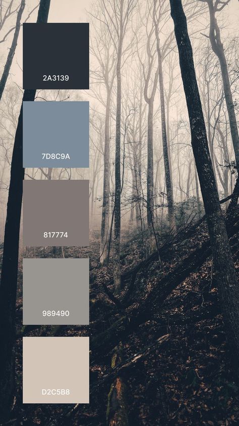 Grayscale baretrees Photo By Matthew Smith Grayscale Color Palette, Stormy Color Palette, Grey Complimentary Colors, Grey Color Combinations, Color Palette Grey, Grey Color Pallets, Grey Colour Palette, Grey Colour Scheme, Blue Pallets