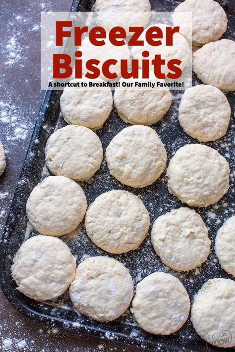 Homemade Frozen Biscuits, Can You Freeze Biscuit Dough, Freezing Biscuits Before Baking, Large Batch Bread Recipes, Freezing Homemade Bread, Bulk Biscuit Recipe, Frozen Biscuit Recipes, Make Ahead Biscuits, Cooking From Scratch Recipes