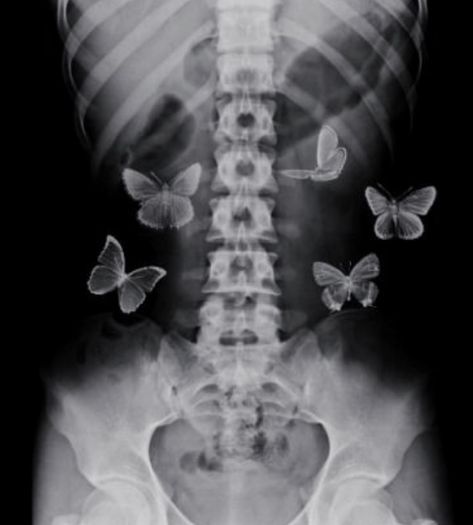 Butterfly Black And White, Collage Des Photos, Butterfly Poster, Butterfly Drawing, Rainbow Wall, Black And White Aesthetic, White Butterfly, Butterfly Wallpaper, Night Aesthetic