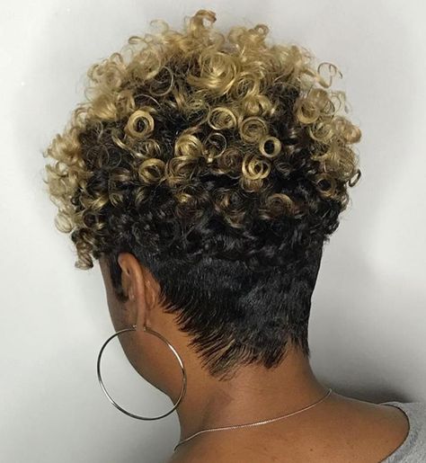 Short Curly Hairstyle with Nape Undercut Tapered Natural Hair, Natural Hair Cuts, Tapered Hair, Curly Hair Photos, Pelo Afro, Curly Hair Wig, Have Inspiration, Penteado Cabelo Curto, Short Natural Hair Styles