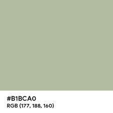 Sage color hex code is #B1BCA0 Sage Color Palette, Paint For Kitchen Walls, Split Complementary Colors, Rgb Color Wheel, Rainbow Palette, Images Design, Web Colors, Room Wall Painting, Kitchen Wall Colors