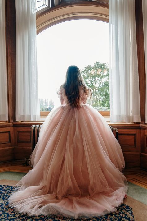 Big Dresses Aesthetic, Big Ball Gowns Fairytale, Beautiful Dresses Princesses Gowns, Princess Gown Royalty, Pink Fantasy Dress, Ballgown Aesthetic, Princess In A Castle, Castle Dresses, Gown Aesthetic