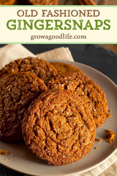 Ginger Snap Molasses Cookies, Homemade Ginger Snap Cookies, Best Gingersnap Cookie Recipe, Best Ginger Cookies Recipe, Ginger Snaps Cookies Recipe, Fresh Ginger Cookies Recipe, Homemade Ginger Snaps, Ginger Snap Cookies Without Molasses, Crumbl Cookie Copycat Gingersnap