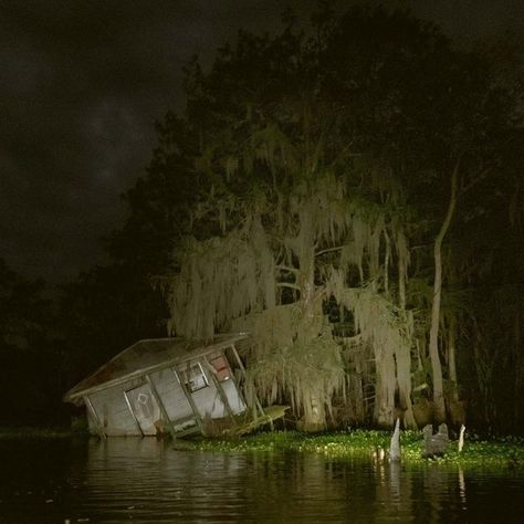 Southern Gothic Aesthetic, Terra Nova, Liminal Spaces, American Gothic, Southern Gothic, Gothic Aesthetic, Abandoned Places, Dark Aesthetic, A House