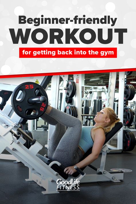 Beginner Weight Machine Workout, Full Body Weight Machine Workout, Workout Routines Weights, Beginner Planet Fitness Routine, Beginner Legs Workout Gym, Beginner Full Body Workout Gym Machines, Gym Workout For Women Machines, Beginner Friendly Workout At Gym, Whole Body Workout Gym Machines