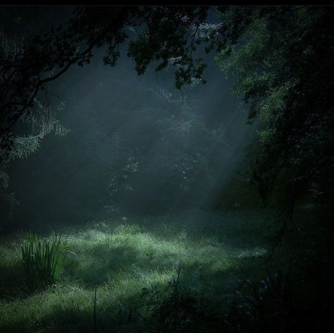 Dark Forest Aesthetics, Dark Forest Core Aesthetic, Dark Green Twilight Aesthetic, Night In The Forest Aesthetic, Twilight Woods Aesthetic, Misty Green Aesthetic, Dark Misty Forest Aesthetic, Jodiecore Aesthetic, Dark Natural Aesthetic