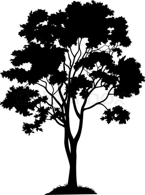 Maple tree Maple Tree Tattoo, Tree Tattoo Black, Maple Tree Tattoos, Grass Silhouette, Oak Tree Wedding, Family Tree Photo, Pine Tree Tattoo, Cool Tree Houses, Palm Tree Silhouette