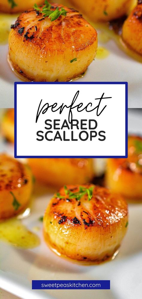 Seared scallops are a delicacy and are mostly cooked on a stovetop in a frying pan. How To Fry Scallops, Pan Fried Scallops Recipes, Perfect Seared Scallops, How To Cook Scallops On The Stove, Cooking Scallops On The Stove, Seared Scallops, Seared Scallops With Corn, Cooking Scallops From Frozen, Seared Scallops With Sweet Summer Corn