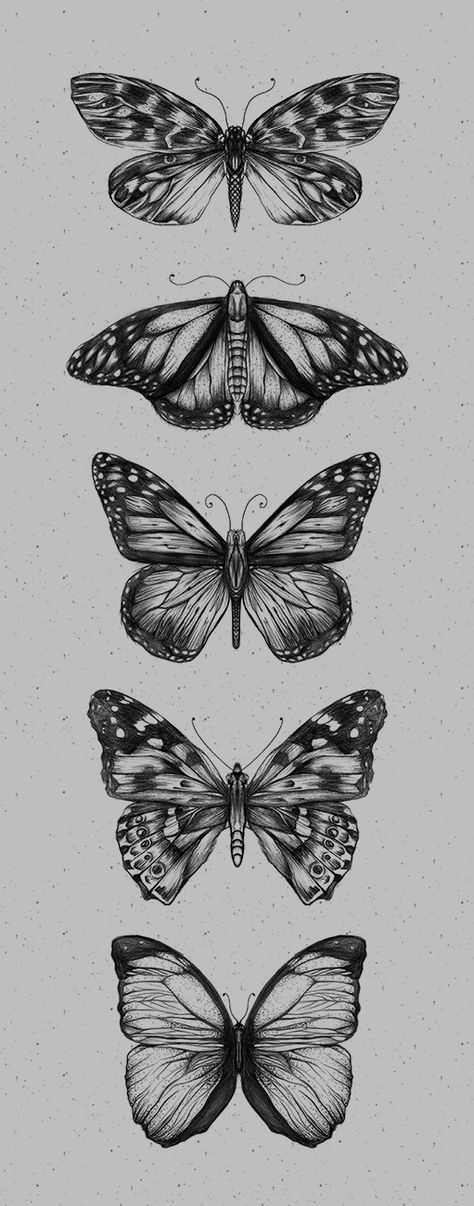 Croquis, Tattoo Papillon, Moth Tattoos, Realistic Butterfly Tattoo, Designs With Meaning, Butterfly Tattoos On Arm, Moth Tattoo Design, Butterfly Back Tattoo, Father Tattoos