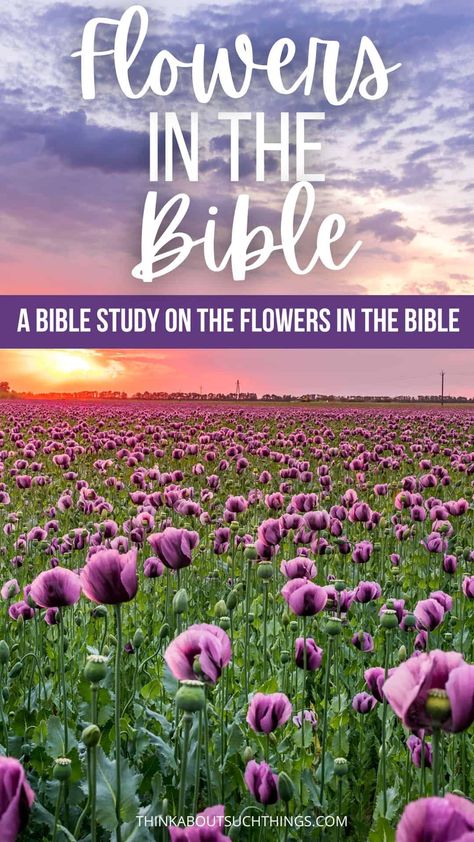 Garden Bible Study, Spring Bible Study, Biblical Flowers Tattoo, Flowers In The Bible, Biblical Flowers, Bible Plants, Biblical Plants, Christian Flowers, Bible Flowers