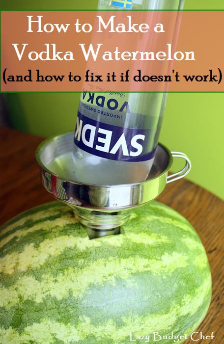 Drunken Watermelon, Vodka Watermelon, Spiked Watermelon, Watermelon Keg, How To Make Vodka, Vacuum Sealing Food, Pumpkin Dog Treats, Cake Carrier, Infused Vodka