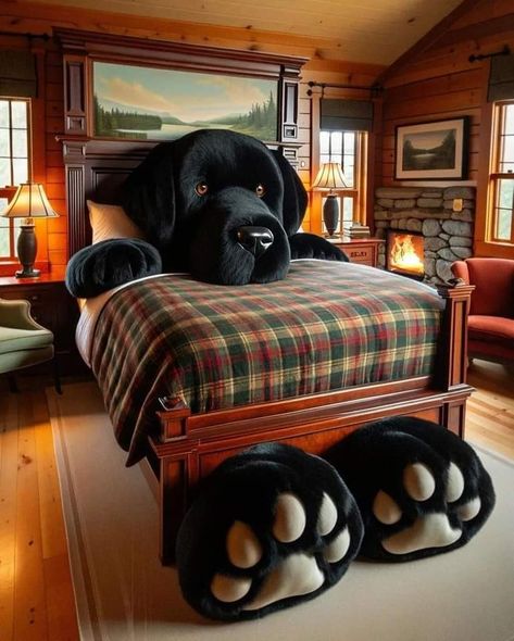 Industrial House Exterior, Bed Posts, Animal Bed, Barn House Interior, Weird Furniture, Food Pillows, Different Dog Breeds, Fantasy Furniture, House Outer Design