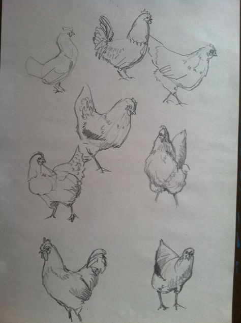 Chicken Sketches, Chicken Paintings, What Is Art Therapy, What Is Art, Chicken Drawing, Chicken Painting, Chicken Art, Gesture Drawing, The Creative Process