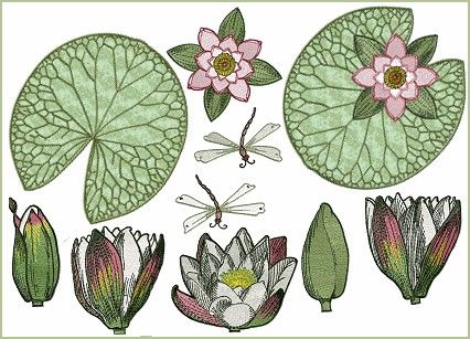 Water Lily Leaves, Best Embroidery Designs, Stitch Patterns Embroidery, Lily Leaves, Water Lily Tattoos, Project Abstract, Japanese Quilts, Water Lilly, Embroidery Design Sets