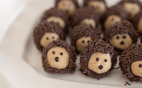 Thanksgiving Desserts For Kids, Buckeye Balls Recipe, Buckeye Recipe Easy, Buckeye Recipe, Cute Thanksgiving Desserts, Woodland Baby Shower Food, Chocolate Peanut Butter Balls, Cream Cheese Fruit Dip, Desserts For Kids