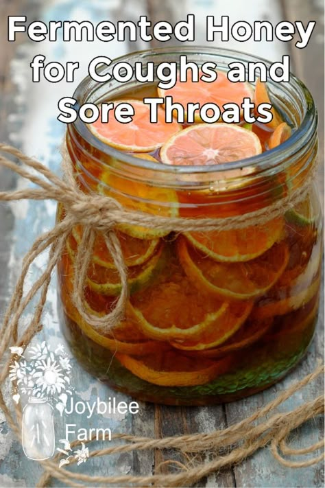 Honey For Cough, Fermented Honey, Fermentation Recipes, Cold Sores Remedies, Herbal Recipes, Natural Healing Remedies, Herbal Healing, Natural Cough Remedies, Cough Remedies