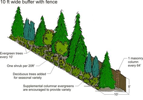 Chapter 22C.120 LANDSCAPING AND SCREENING Landscaping Elements, Privacy Landscaping Backyard, Evergreen Landscape, Fence Installation, Landscaping Trees, Privacy Plants, Privacy Landscaping, Landscape Inspiration, Tree Species