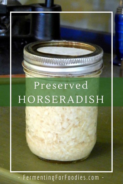 Homemade Horseradish Sauce, Homemade Horseradish, Horseradish Recipes, Sauce Cocktail, Fresh Horseradish, Prepared Horseradish, Fermentation Recipes, Horseradish Sauce, Homemade Condiments