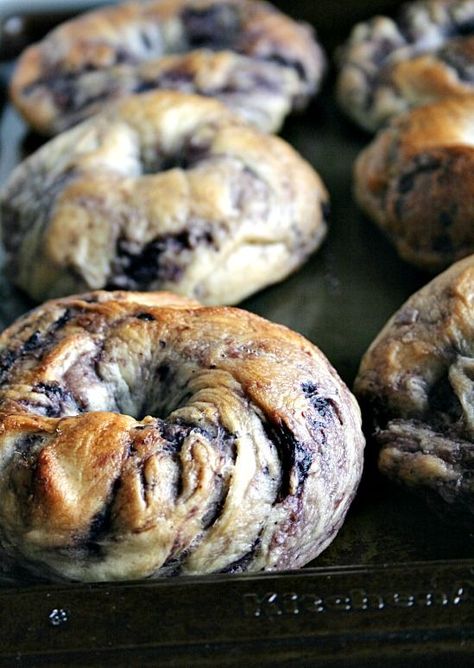 #bagel Recovery Meals, Blueberry Bagels, Blueberry Bagel, Yeast Dough, Bagel Sandwich, Homemade Bagels, Ny Style, Bagel Recipe, Blueberry Recipes