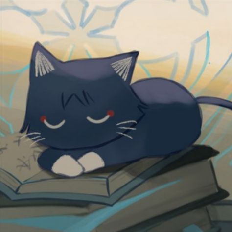 Cat Scaramouche Pfp, Wanderer Pfp Aesthetic, Scaramouche Cat Icon, Scarameow Pfp, Scarameow Icon, Scaramouche Cat, Scaramouche Icon, Wanderer Art, Cat Icon