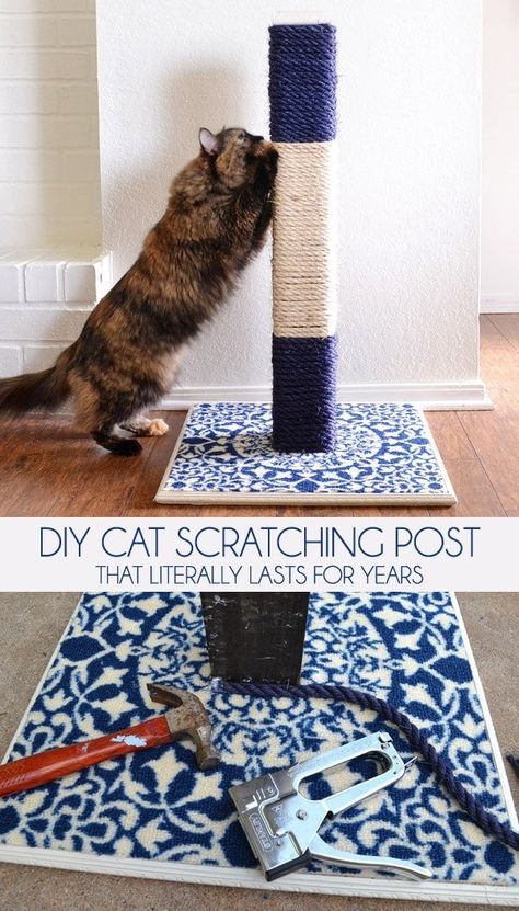 Diy Jouet Pour Chat, Diy Cat Scratching Post, Diy Cat Scratcher, Katt Grejer, Chat Diy, Diy Cat Tree, Diy Cat Toys, Cat Scratchers, Ideal Toys