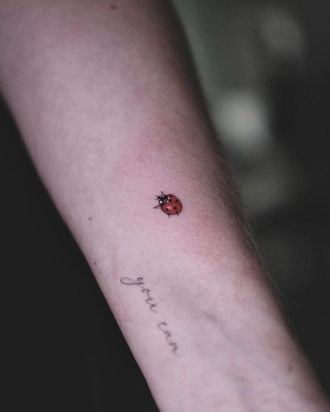 Ladybug Tattoo Meanings And 25 Irresistible "Inkspo" Ideas Fantasy Tattoo, Ladybug Tattoo, Worst Tattoos, Tarot Tattoo, Lady Bug Tattoo, Tattoo Meanings, Bug Tattoo, Fantasy Tattoos, Petite Tattoos