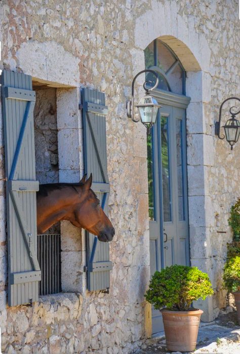 Farm Horses Country Living, French Horse Stables, Farm Country House, French Country House Aesthetic, Stables Aesthetic, House With Horses, Old Barn House, French Country Side, Dream Barn Stables