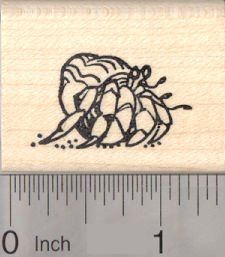 Hermit Crab Tattoo Ideas, Hermit Crab Tattoo Simple, Hermit Crab Tattoo, Hermit Crab Drawing, Pr Tattoo, Crab Drawing, Crab Logo, School Drawings, Crab Tattoo