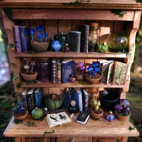 Miniature Magic Shop, Halloween Diorama Ideas, Witchy Miniatures, Witch Miniatures, Witchy Shelf, Mini Apothecary, Harry Potter Miniatures, Witch Room, Witch Cottage