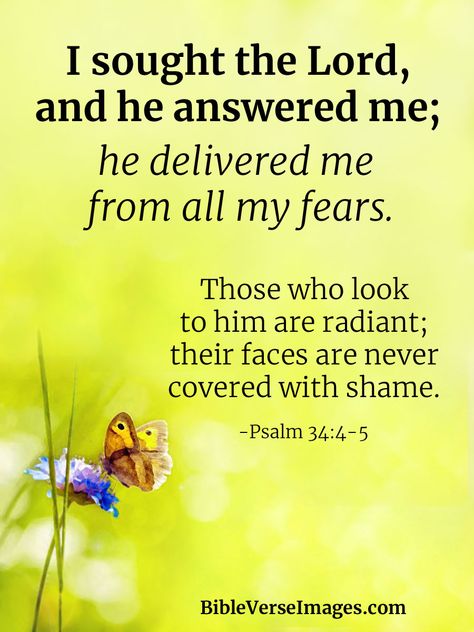 Psalm 34:4-5, Bible Verse Images, Bible References, Psalm Scriptures, Religious Sayings, Psalm 34 4, Verse Images, Inspirational Bible Verse, Bible Verses About Faith