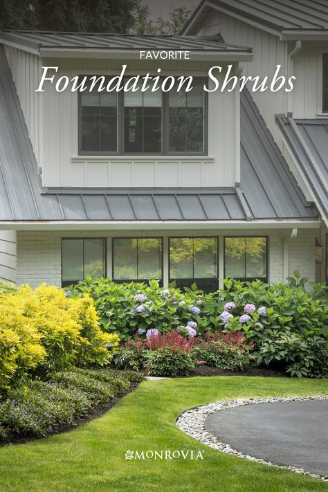 Asymmetrical Foundation Planting, Tall Foundation Landscaping, Foundation Landscape Design, Plants Side Of House, Foundation Garden Ideas, Full Sun Foundation Planting, Foundation Shrubs For Front Of House, Landscaping Under Windows, Foundation Garden Plans