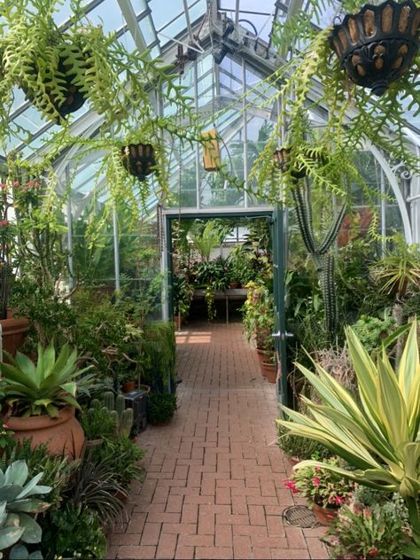 🌿🌱🌸 Greenhouses, Modern Lighting, Lighting, Color