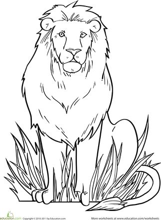 Andy and the Lion - Lion Coloring Page Lion Sitting, Zoo Coloring Pages, Lion Coloring, Lion Coloring Pages, Lion Drawing, Easy Coloring, A Lion, Animal Coloring Pages, Coloring Book Pages