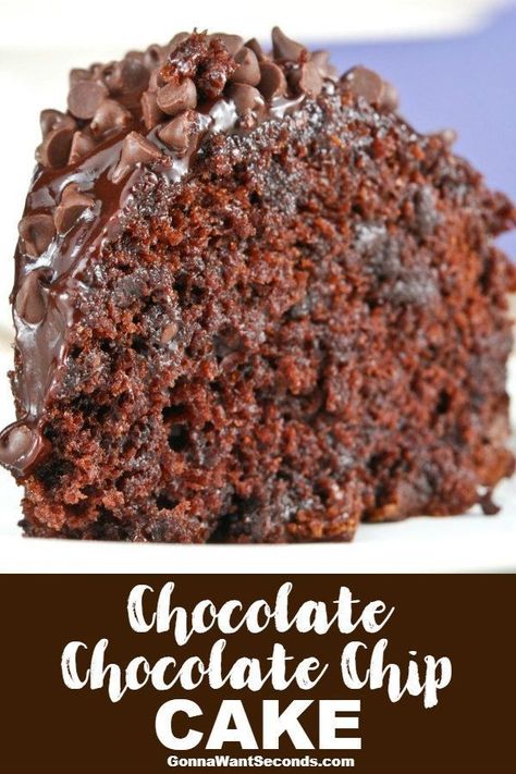 Chocolate Chocolate Chip Cake Recipe, Chocolate Chunk Cake, Chocolate Cake With Chocolate Chips, Double Chocolate Chip Cake, Chocolate Chocolate Chip Cake, Choco Chips Cake, Chocolate Chip Cake Recipe, Super Start, Chocolate Chip Cake