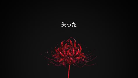 red spider lily and japan text Spider Lily Anime Wallpaper, Tokyo Ghoul Flower, Japan Text, Red And Black Spider, Touka Wallpaper, Red And White Wallpaper, Anime Flower, Lily Wallpaper, Red Spider Lily