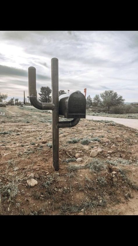 Are you obsessed with cactus enough to make this? Western Board And Batten Wall, Western Modern Farmhouse, Barndominium Ideas Western, Cactus Mailbox Ideas, Ranch Diy Projects, Western Tiny Home Decor, Western Mailbox Ideas, Western Home Interior Design, Western Kitchen Ideas Ranch