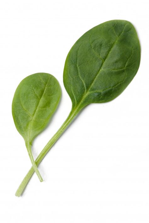 Spinach on the table | Free Photo #Freepik #freephoto #food #leaf #kitchen #farm Painted Garden Rocks, Kitchen Farm, Painting References, Ginger Smoothie, Rustic Wooden Table, Green Cocktail, Decorative Leaves, Spinach Leaves, Pomegranate Seeds