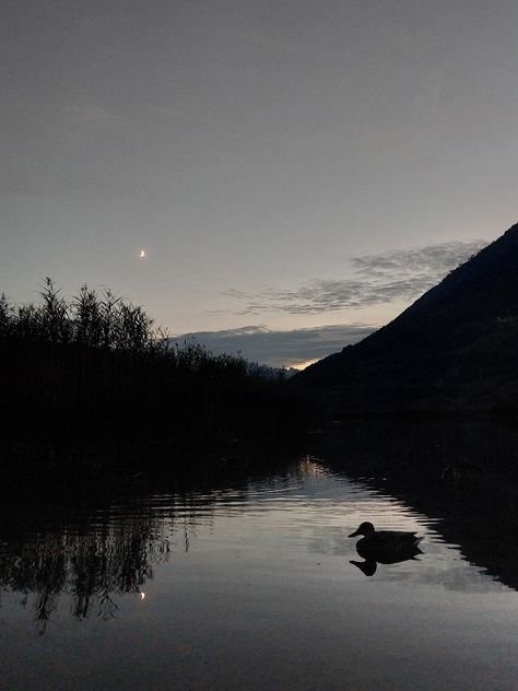 #lake #night #midnight #sky #aesthetic #moon #moonlight #moonshine #nightsky #midnightsky #duck #ducks #water #lake #river Night River Aesthetic, Midnight Sky Aesthetic, Sky Aesthetic Moon, Lake Night, Aesthetic Moon, Water Aesthetic, Midnight Sky, Moon River, Night Vibes