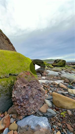 Nature, Fossil Hunting, Ancient Animals, Ammonite Fossil, Shell Pattern, Natural Nature, Animals Art, Geology, Yorkshire