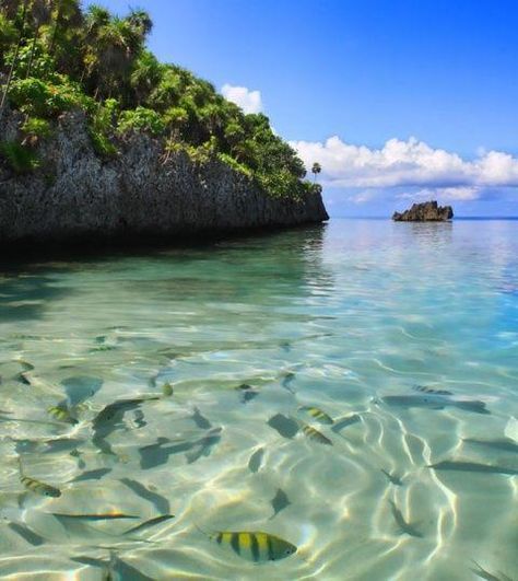 Roatan Island, Honduras. The water was turquoise. I've never seen water so pure and blue. Honduras Travel, Roatan Honduras, Tegucigalpa, West Bay, Roatan, Crystal Blue, To Infinity And Beyond, Amazing Places, Places Around The World